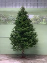 [4012] ARBOLES DE NAVIDAD NATURALES